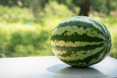 Yeşil orman arka planında, turist masasında bir karpuz..