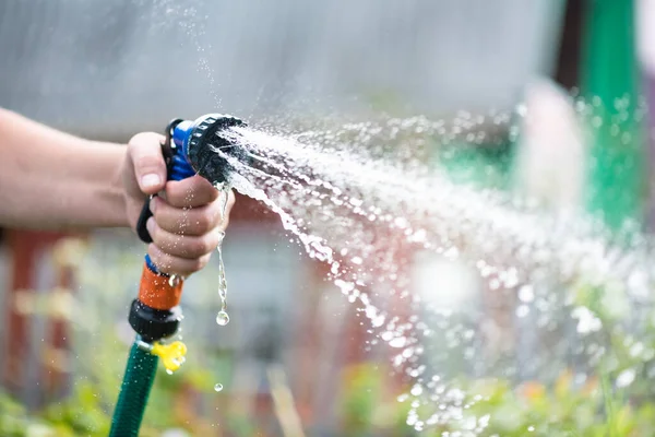 Gardener Watering Garden Bed Water Sprinkler Close — Stock Photo, Image