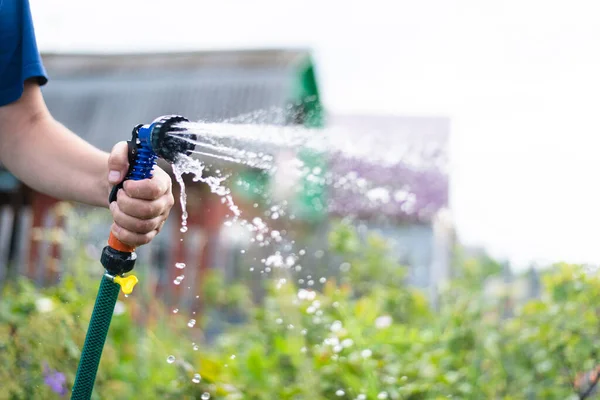 Gardener Watering Garden Bed Water Sprinkler Close Royalty Free Stock Photos