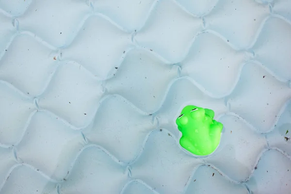 Spielzeugfrosch Aufblasbaren Kinderbecken Von Oben — Stockfoto