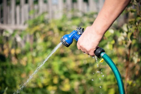 Tukang Kebun Sedang Menyiram Taman Tempat Tidur Dengan Alat Penyiram — Stok Foto
