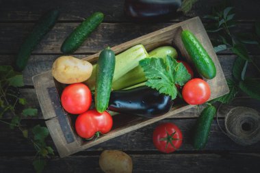 Bahçe masasında taze sebzeler yatıyordu..