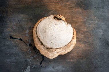 Ahşap masa zemininde raf mantarı.