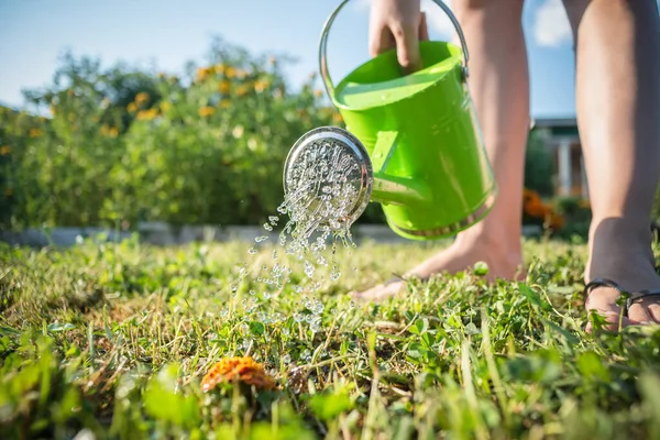 Tukang Kebun Sedang Menyiram Rumput Hijau Kebun Dekat — Stok Foto