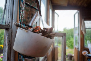 Bahçe evinin arka planında toplanan eski bahçe eldivenleri..