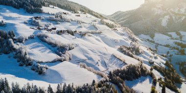 Tepedeki karlı çam ağaçlarının ve iğnelerin havadan görünüşü. Dolomiti Alpleri, İtalya.