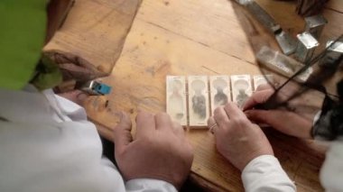 Yeni bir dişi arı kraliçesini arı kovanına sokmak. Arıcılık ve arıcılık konsepti.