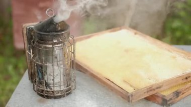 Tütsühane ve sigara içen kişi, bal için çerçeveyle birlikte bir kovanın üzerinde duruyor. Arıcılık ve arıcılık teması.