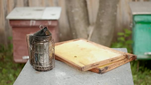 L'affumicatoio e fumatore si trova su un alveare insieme a una cornice per il miele. Il tema dell'apicoltura e dell'apicoltura. — Video Stock