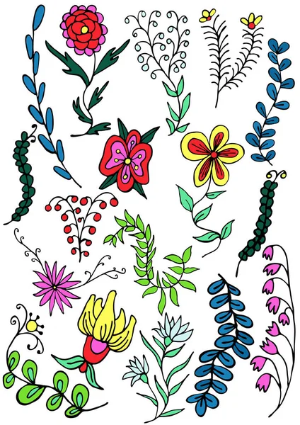 Çiçeklerden Arka Plan Vektör Illüstrasyon Çizilmiş — Stok Vektör
