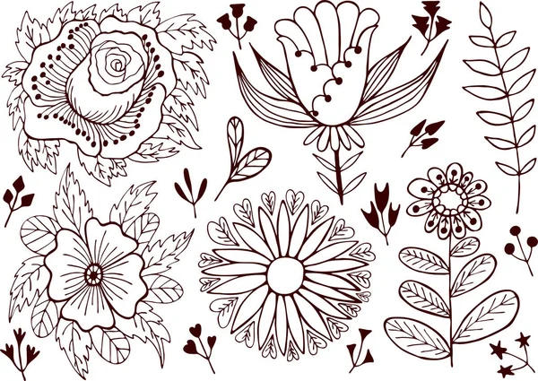 Flores Grama Contorno Marrom Vetor Ilustração Conjunto Mão Desenho Gráficos Vetores