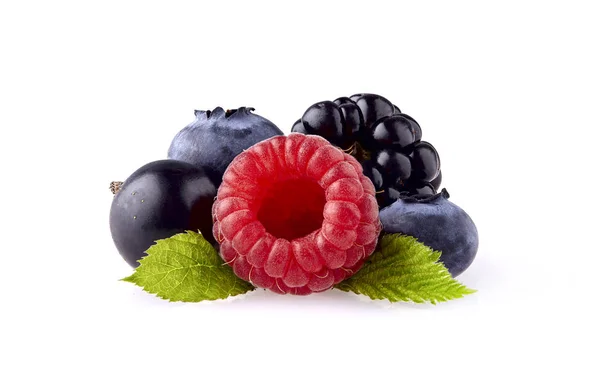 Fresh Ripe Berry Closeup — Stock Photo, Image