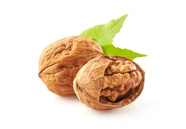 Group Walnuts White Background — Stock Photo, Image