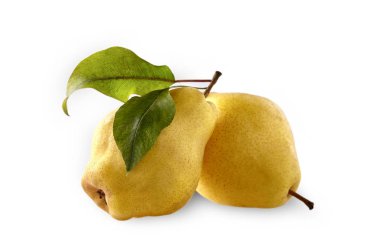 Armut izole yaprak ile