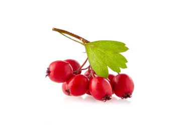 Berry alıç izole yaprak ile