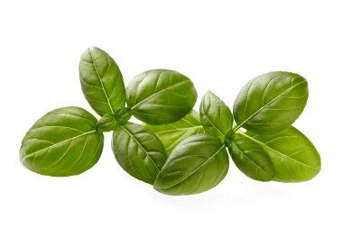 Fesleğen yaprakları yakın planda