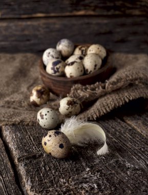 Eski arka plan ahşap bir tabağa bıldırcın yumurtası.