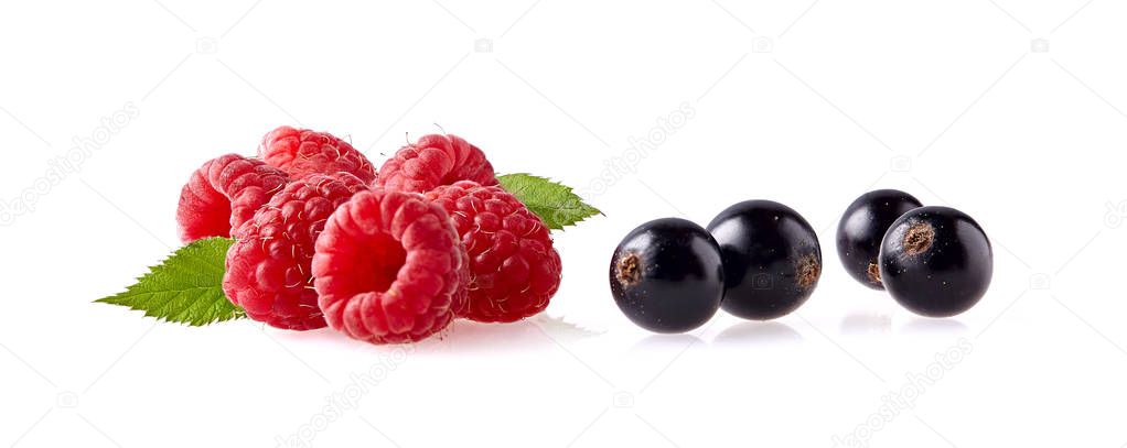 Raspberry and  black currant Isolated on White Background