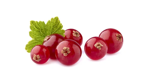 Czerwone jagody porzeczki na białym tle — Zdjęcie stockowe