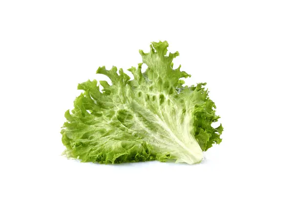 Зеленый лист салата на белом фоне — стоковое фото