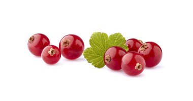 Beyaz arka plan üzerinde yaprak ile kırmızı frenk üzümü çilek