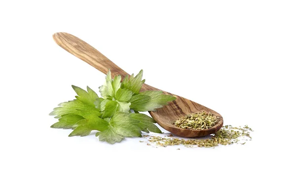 Lovage, Levisticum officinale. Lovage fresco e secco Isolato o — Foto Stock