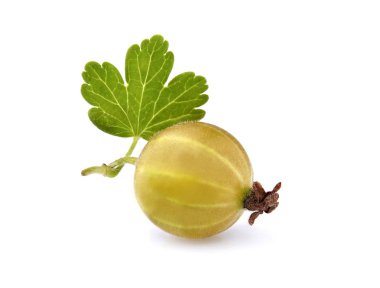 Beyaz arka planda yeşil bektaşi üzümü. Makro.