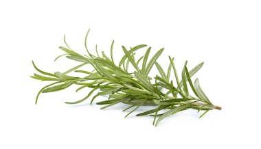 taze biberiye beyaz arka planda izole-