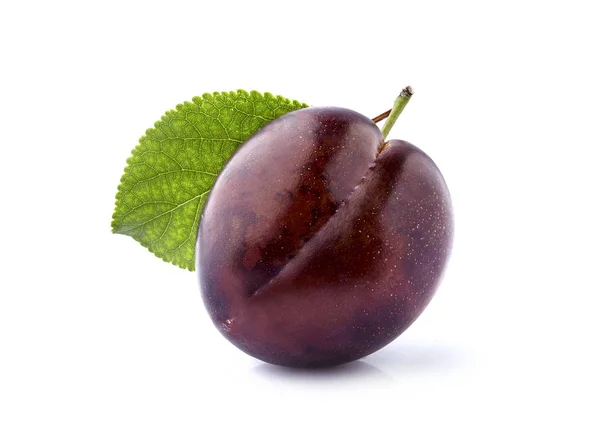 Ciruela con hoja aislada sobre fondo blanco . — Foto de Stock