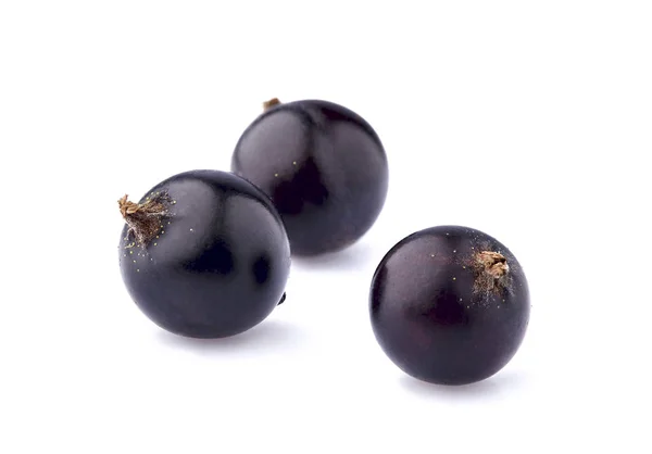 Bacche di ribes nero su sfondo bianco isolato — Foto Stock