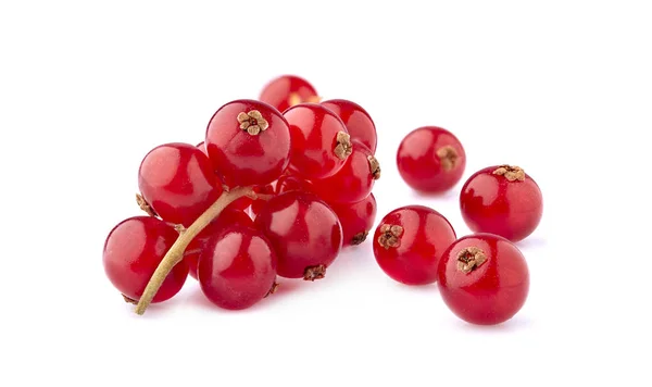 Bayas de grosella roja sobre fondo blanco — Foto de Stock