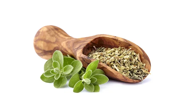 Oregano eller mejram lämnar isolerat på vit bakgrund. Oregano — Stockfoto