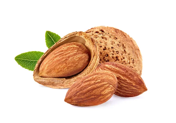 Almonds Leaves Closeup Isolated White Background — Stock Photo, Image