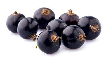 Beyaz arka planda siyah frenk üzümü var. Olgun böğürtlen.