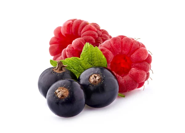 Schwarze Johannisbeeren Mit Himbeeren Auf Weißem Hintergrund Reife Beeren Isoliert — Stockfoto