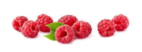 Himbeeren Mit Blatt Isoliert Auf Weißem Hintergrund Reife Beeren Isoliert lizenzfreie Stockbilder