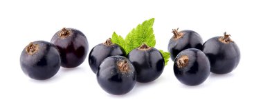 Beyaz arka planda yaprağı olan siyah frenk üzümü.