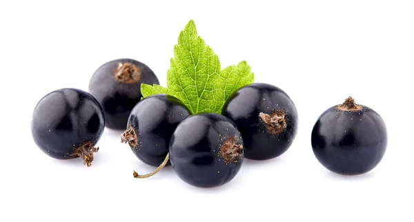 Schwarze Johannisbeeren Mit Blatt Auf Weißem Hintergrund Stockfoto