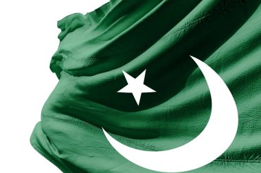 Pakistan bayrağı sallayarak 3D gerçekçi kumaş izole