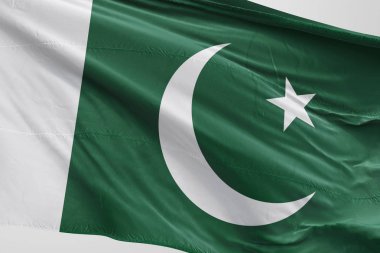Pakistan bayrağı sallayarak 3D gerçekçi Pakistan Kumaş izole