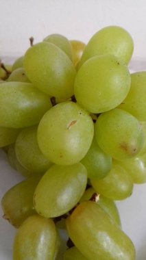 Yeşil üzüm Şubesi
