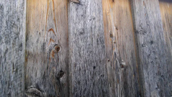 Beautiful Background Texture Old Wood — Stock Photo, Image