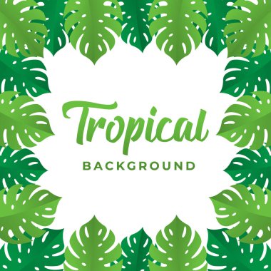 Tropikal Vektör Tasarım Çizimi. Tropik yapraklar Vector düz tasarım çizimi. Sancak, şablon, davetiye, poster, broşür için soyut Tropik Yaz arkaplan tasarımı şablonu.