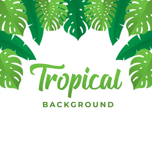 Tropical Vector Background Design Illustration Tropical Leaves Vector Flat Design — Stock Vector