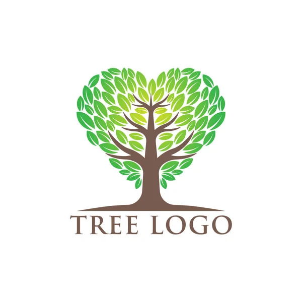 Ilustracja Wektora Projektu Logo Drzewa Abstrakcyjny Wektor Logo Drzewa Kreatywnej — Wektor stockowy