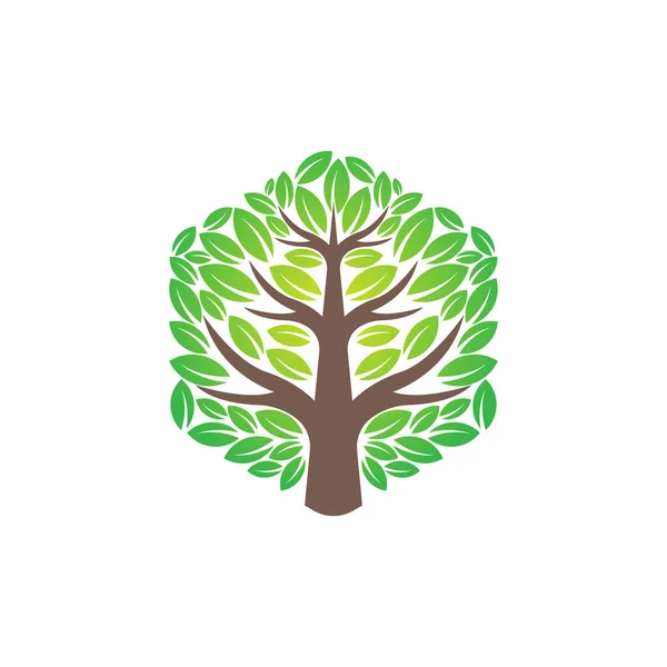 Illustration Vectorielle Conception Logo Arbre Abstrait Tree Logo Vecteur Dans — Image vectorielle