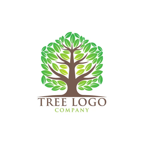 Träd Logotyp Design Vektor Illustration Abstrakt Träd Logotyp Vektor Kreativ — Stock vektor