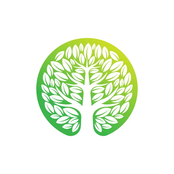 트리로 고디자인 일러스트 트리로 고벡터 Abstract Tree Logo Vector 농업에 — 스톡 벡터