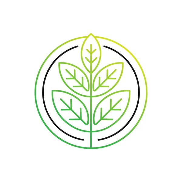 葉のロゴデザインベクトルイラスト 概要自然 農業ビジネスのための創造的なデザインコンセプトにおける葉のロゴベクトル 木の葉のロゴ アイコン 記号ベクトルのデザインイラスト — ストックベクタ