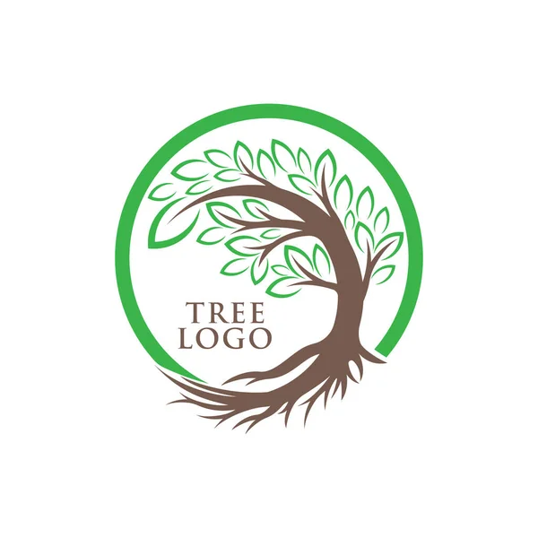 Tree Logo Design Vektor Illustration Abstrakter Baum Logo Vektor Kreativem — Stockvektor